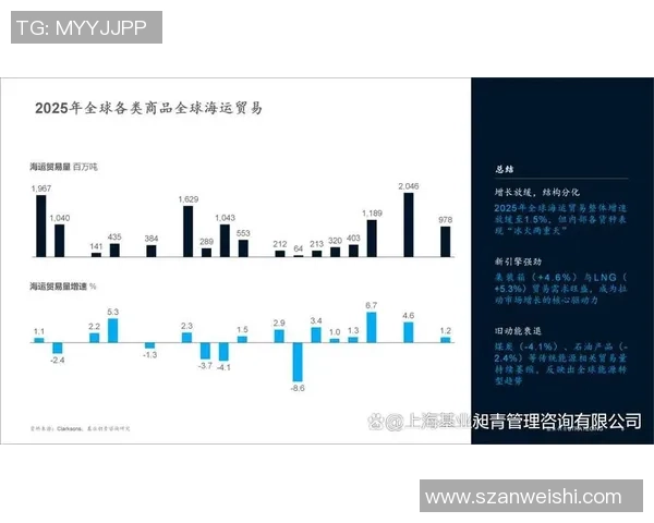 独家深度解析LNG市场发展速度及其对全球能源格局的影响MBA